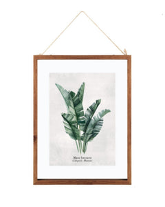 Collection image for: Décoración