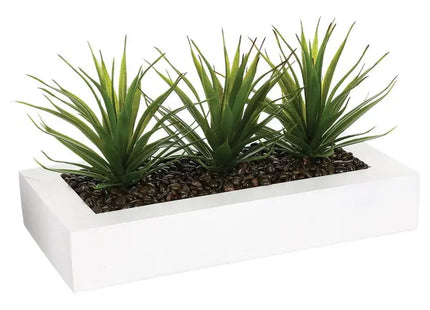 Composición: 3 láminas de aloe vera, 31x16x17cm - 110376