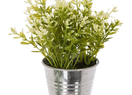 Planta de 8 x 17 cm con maceta de zinc - 114754