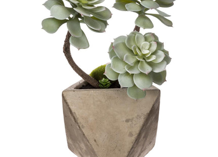 Suculenta geométrica en maceta A30cm - 114761