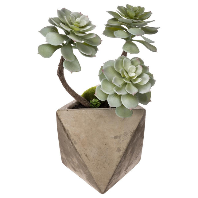 Suculenta geométrica en maceta A30cm - 114761