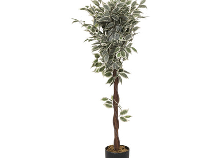 Ficus artificial en maceta A120cm - 116275A