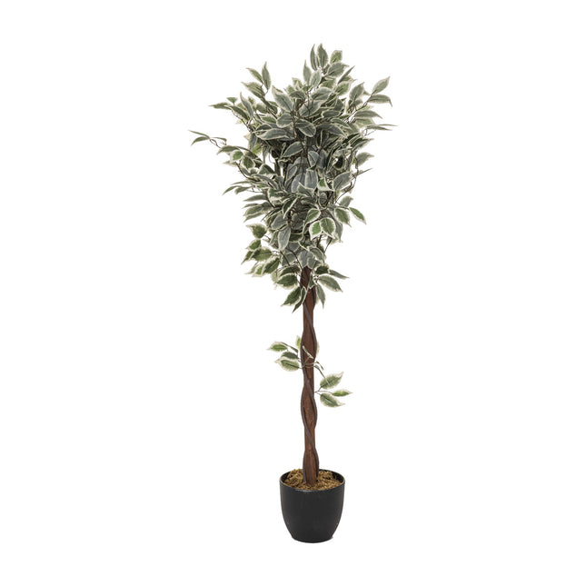 Ficus artificial en maceta A120cm - 116275A