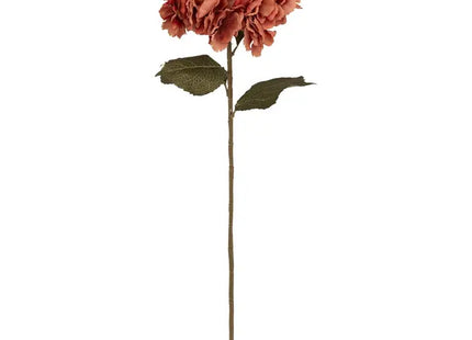 Tallo de hortensia "Gypsy" A83cm - 130813B