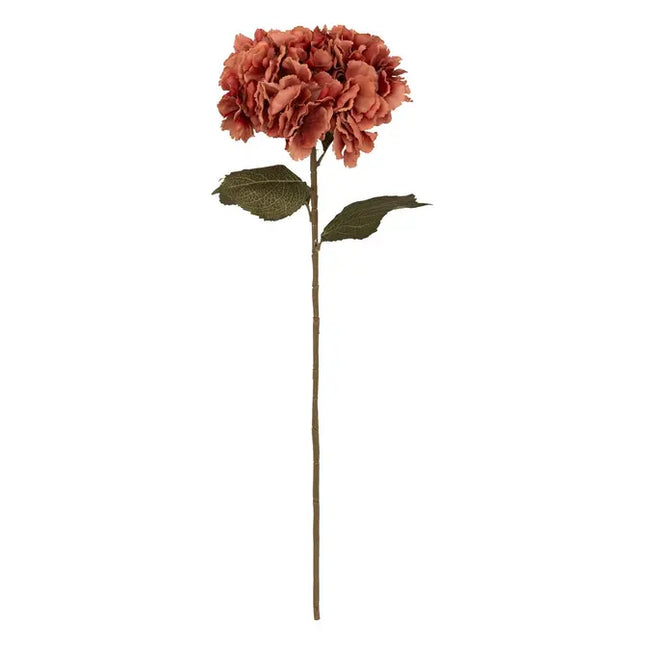 Tallo de hortensia "Gypsy" A83cm - 130813B