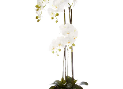Orquídeas A115cm en pote de cerámica - 136507