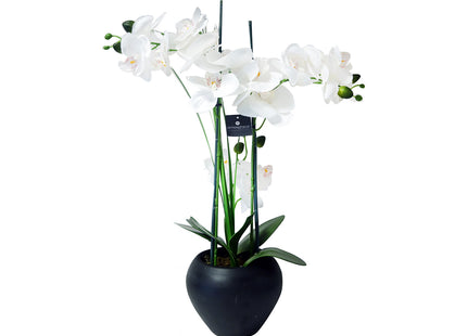 Orquídea A53cm en jarrón de cerámica color negro - 136510A