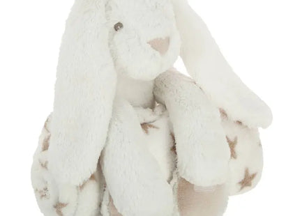 Peluche y manta de 75 x 100 cm 2 modelos - 138739A