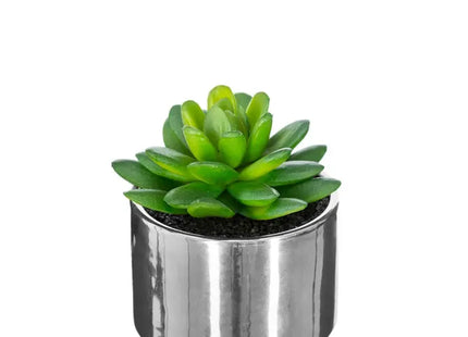 Planta verde en maceta de cerámica, 15 cm de altura - 145000A