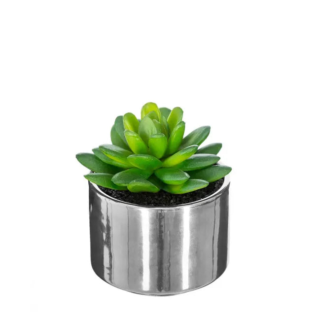 Planta verde en maceta de cerámica, 15 cm de altura - 145000A