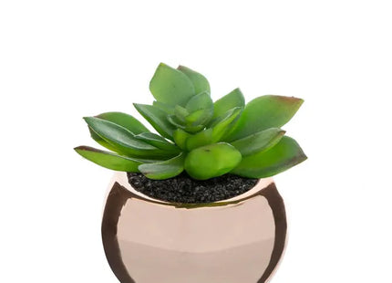Planta verde en maceta de cerámica, 15 cm de altura - 145000A