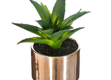Planta verde en maceta de cerámica, 15 cm de altura - 145000A