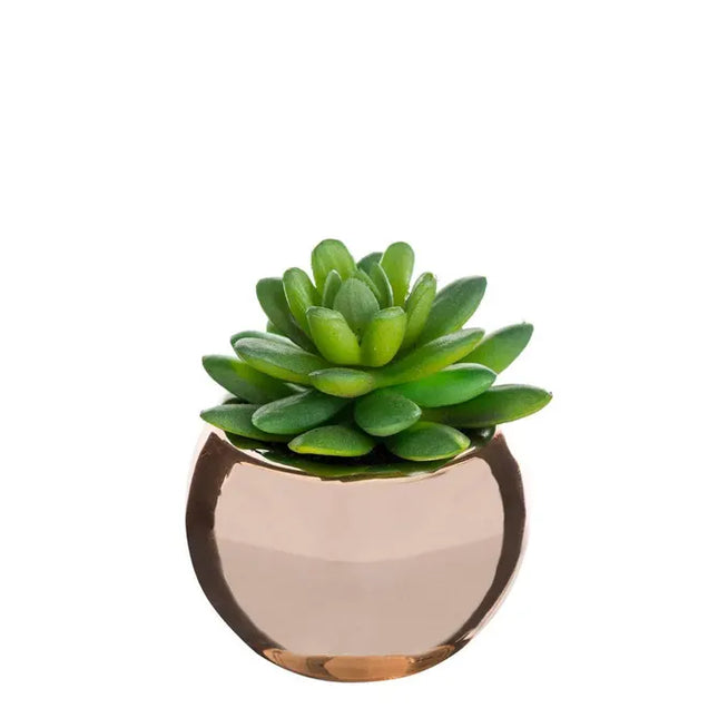 Planta verde en maceta de cerámica, 15 cm de altura - 145000A