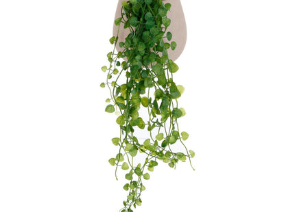 Hiedra en cemento para suspender - 145017