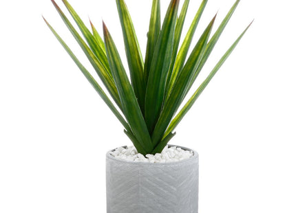 Planta de aloe en pote de cemento A48cm - 145025
