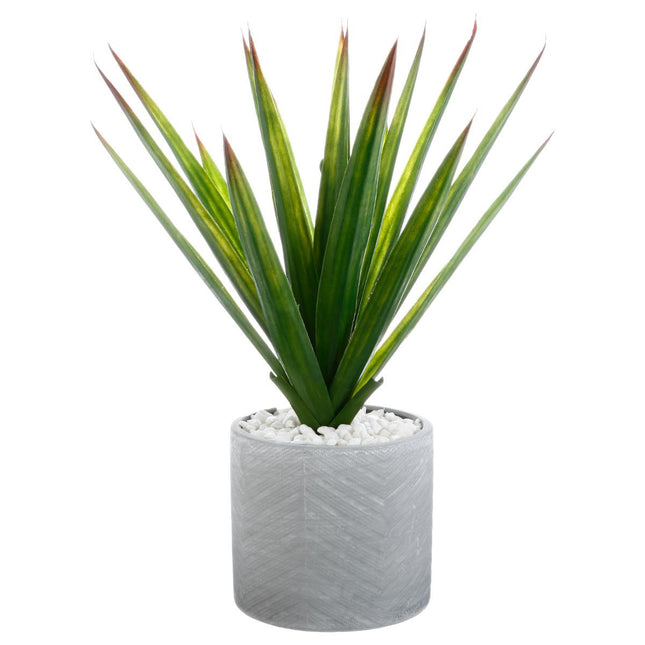 Planta de aloe en pote de cemento A48cm - 145025