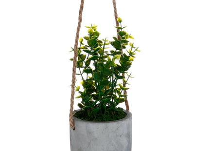Planta para colgar A25cm - 145046
