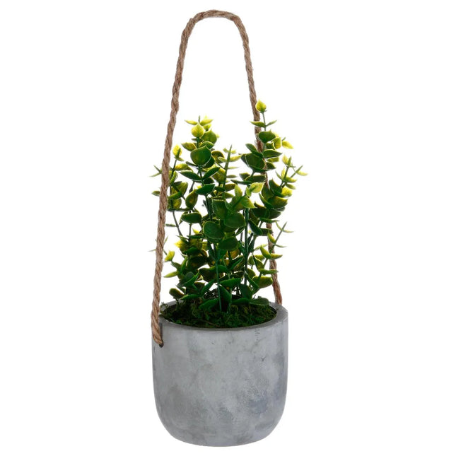 Planta para colgar A25cm - 145046