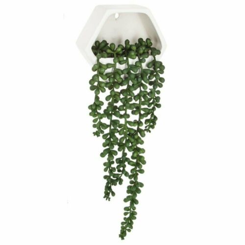 Planta artificial contemporáneo para colgar - 155634