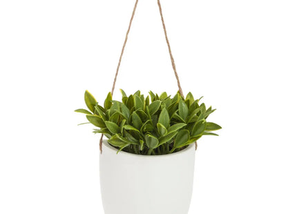 Planta de cerámica colgada A40cm - 155635