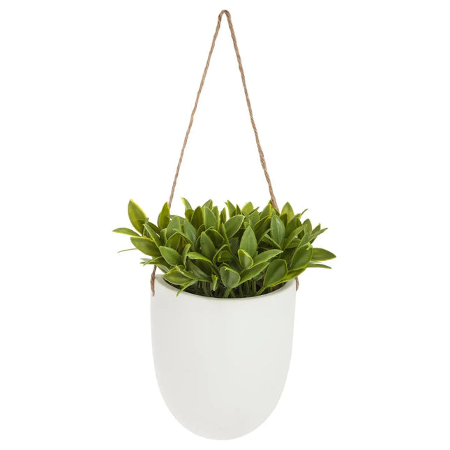 Planta de cerámica colgada A40cm - 155635