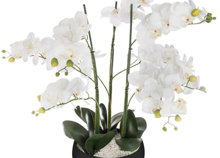 Orquídea A65cm en pote negro - 155640A