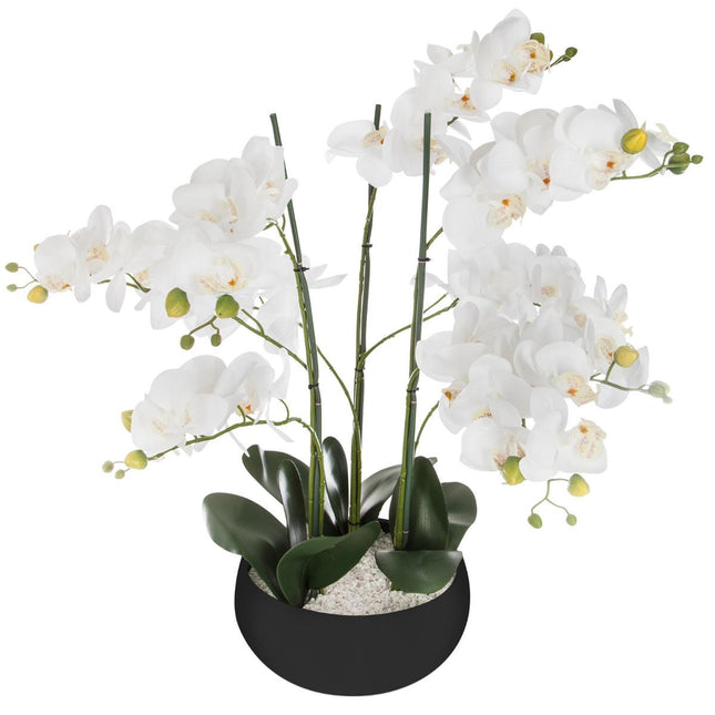 Orquídea A65cm en pote negro - 155640A