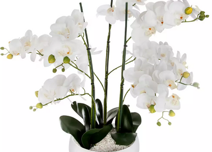 Pote de Orquídea A65cm  blanca - 155640B