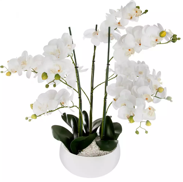 Pote de Orquídea A65cm  blanca - 155640B