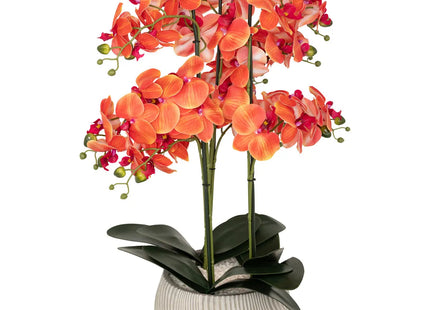 Orquídea A65cm "Sanae" pote de cemento naranja - 155640D