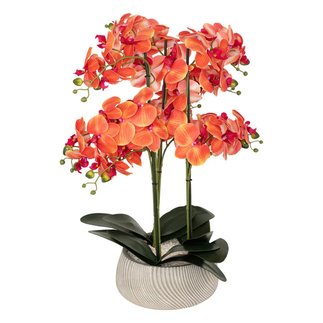 Orquídea A65cm "Sanae" pote de cemento naranja - 155640D