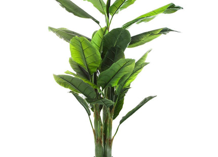 Bananero grande modelo A170cm - 155728