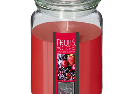 Vela perfumada "Nina" 510GR  Frutas rojas - 157747H