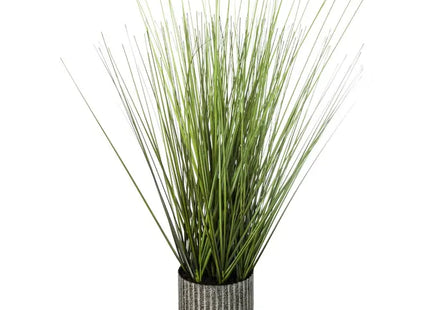 Hierba en maceta, 45 cm de altura - 160035
