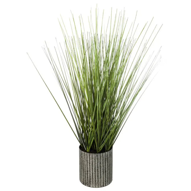 Hierba en maceta, 45 cm de altura - 160035