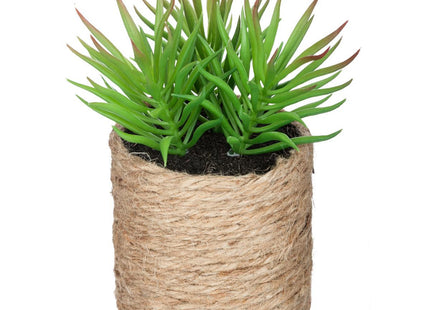 Planta verde en cuerda "Etnik" A15cm - 160065