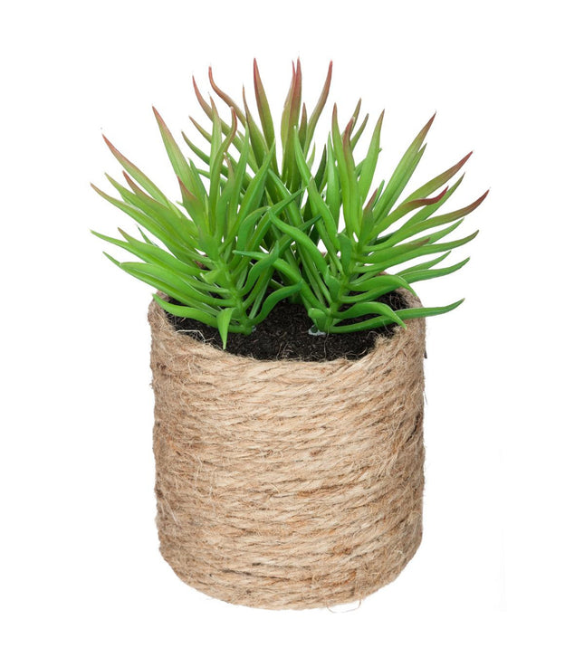 Planta verde en cuerda "Etnik" A15cm - 160065