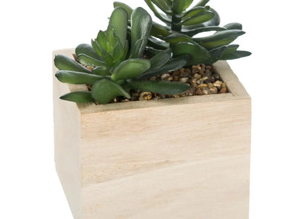 Planta en madera verde chic A14cm - 160066