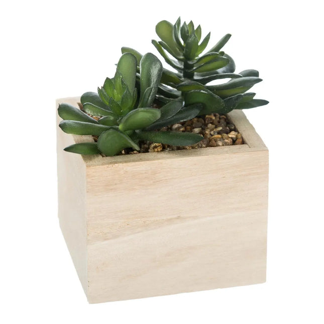 Planta en madera verde chic A14cm - 160066