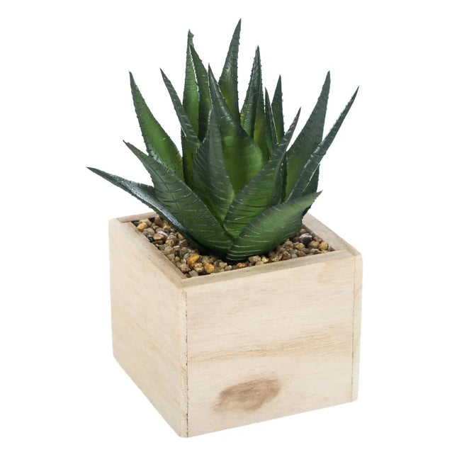 Planta en madera verde chic A14cm - 160066