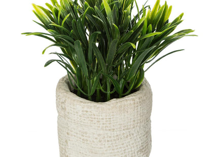 Planta verde en bolsa de cemento A15cm - 160067