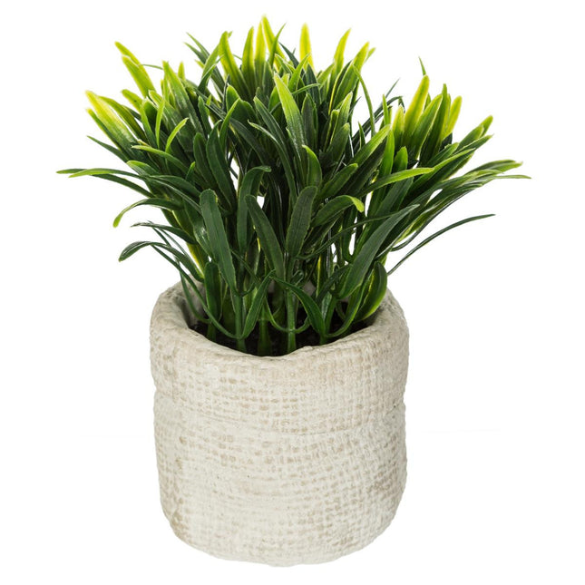 Planta verde en bolsa de cemento A15cm - 160067
