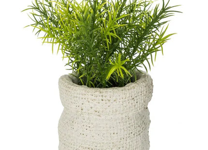 Planta verde "Viento", 14 cm de alto - 160067