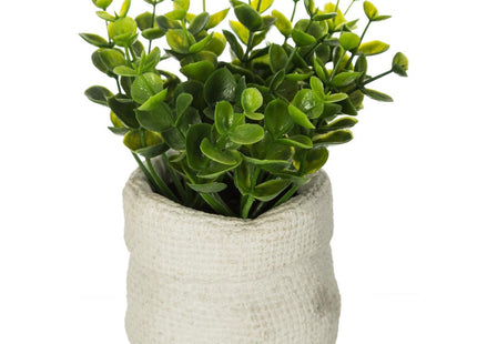 Planta verde en bolsa de cemento A15cm - 160067