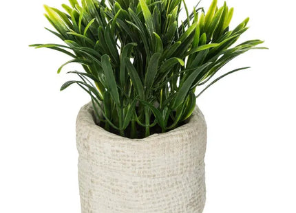 Planta verde "Viento", 14 cm de alto - 160067