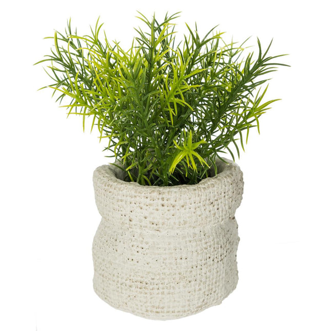 Planta verde en bolsa de cemento A15cm - 160067