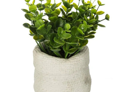 Planta verde "Viento", 14 cm de alto - 160067