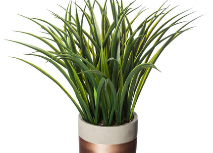 Planta verde en pote de cemento A40cm - 160075