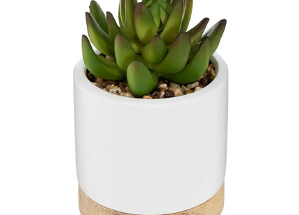 Suculenta maceta de cerámica y madera A12cm - 164284