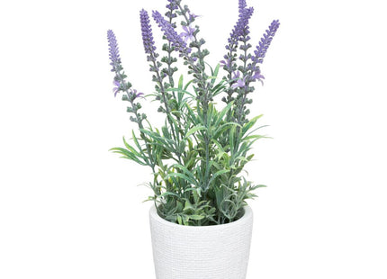 Lavanda en pote de cemento A36cm - 167267